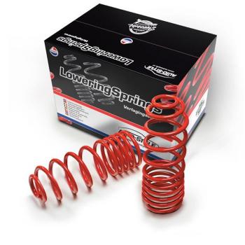 Set de suspensión con muelles AutoStyle IA 62626 – compatibilidad total