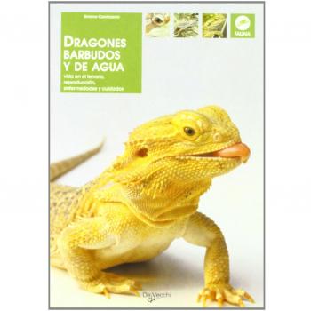 Dragones barbudos y de agua (Animales)