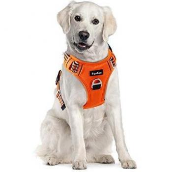 Funfox Großer Hund