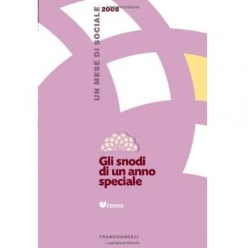 Gli snodi di un anno speciale. Un mese di sociale 2008