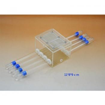 Clear Ant Colony Habitat with Feeding Section and Test Tubes