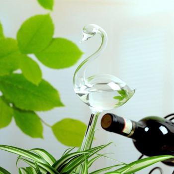 Transparent Self-Watering Plant Globes