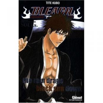 Bleach :