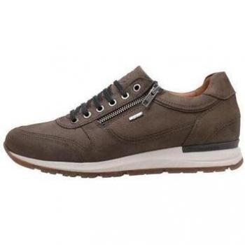 Grauer Kangaroos Sneaker 472 – EU44