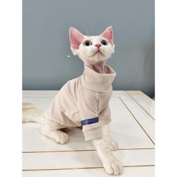 Hairless Cat Winter Clothes Thick Cotton T-Shirt