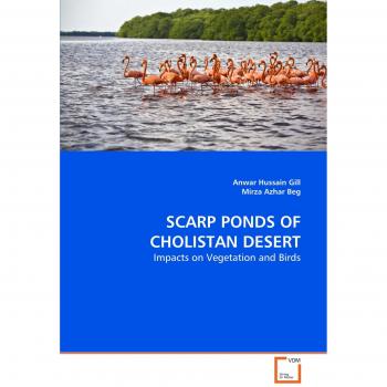 SCARP PONDS OF CHOLISTAN DESERT