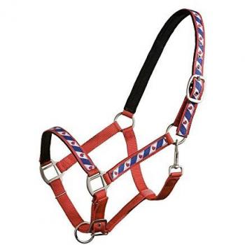 QHP Lined Friesian Head Collars – Size COB