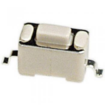 Bouton de commande 12 V DC 50 mA – mode OFF/ON à mémoire (PHAP3361 D77538)