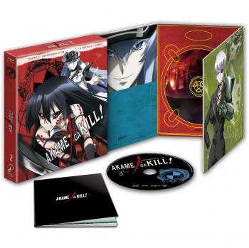 Akame Ga Kill Temporada 2 Episodios 13 A 24. Blu-Ray Edición Coleccionistas [Blu-ray]