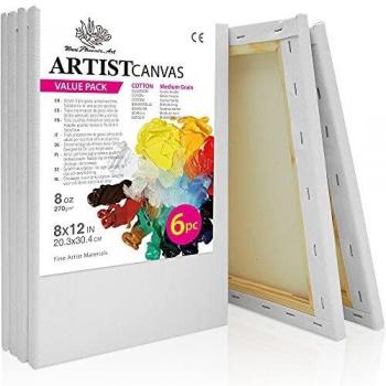 Phoenix Super Value 8x10 inch Pre-Stretched Canvas – 10 Pack