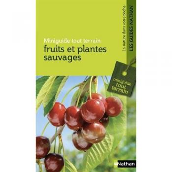 Fruits Et Plantes Sauvages