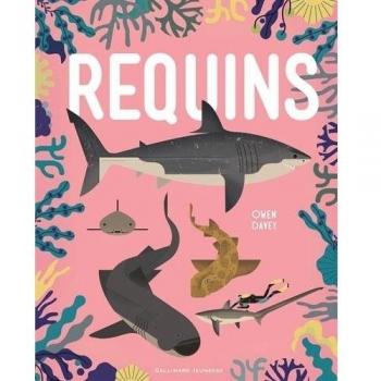 Requins