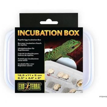 Exo Terra Inkubationsbehälter