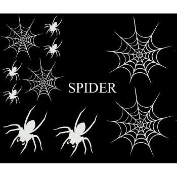 Ensemble Adhesif Spider‑Blanc – Offre Spéciale