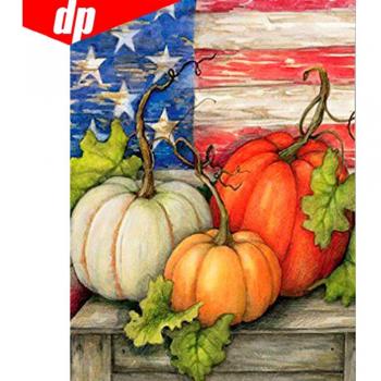 Image strass citrouille Halloween 20X30CM