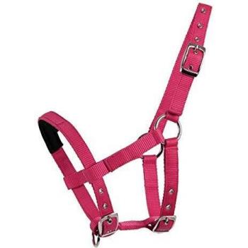 Waldhausen Azalea Halter for Mini Shetland