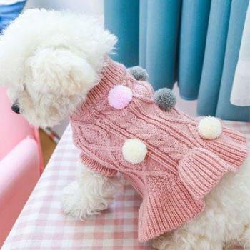 Robe d'hiver pour chien