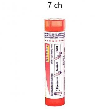 Arnica montana 7CH Boiron