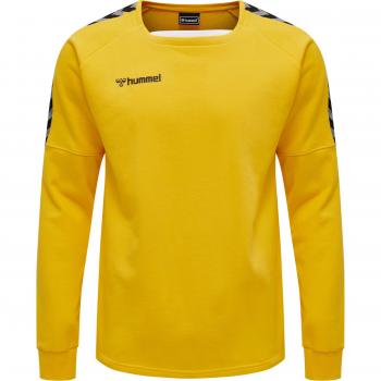 Pullover Hummel hmlAUTHENTIC Training Jaune S männlich