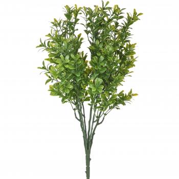 Gruppo 8 Bosse Buxus 38 cm