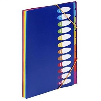 Trieur accordéon Viquel Happy Fluo avec porte-étiquette