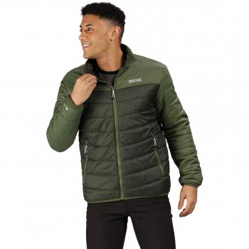 Regatta Freezeway Chamarra Aislante Ligera Relleno Medio Acolchada Hombre Repelente al Agua Bayleaf/Cypress Green Extra‑Large