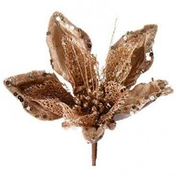 Sogno Nereus – Fiore Secco a 50 cm
