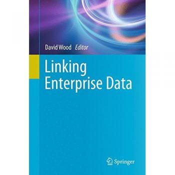Linking Enterprise Data
