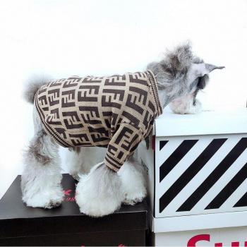 Handsome Dog Sweater for Chihuahua