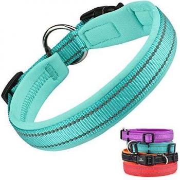 Blue AirFit Adjustable Collar