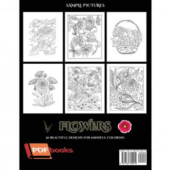 Coloring Book for Boys