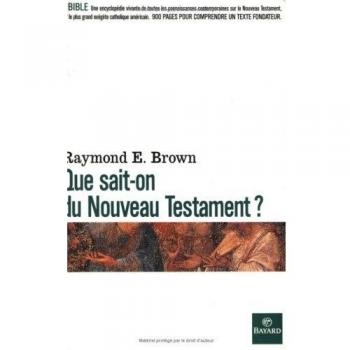 Que Sait-On Du Nouveau Testament ?