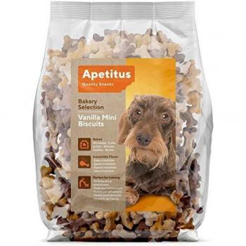 Vanilla Bliss Snack Bites – 500 g