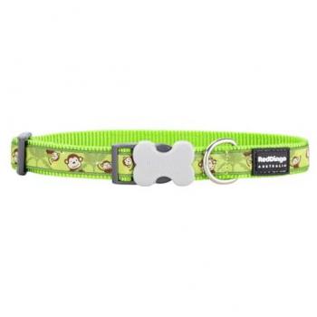 Collier Chien