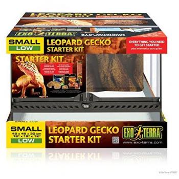 Terrarium EXO TERRA 45x45x30 cm avec accessoires pour gecko