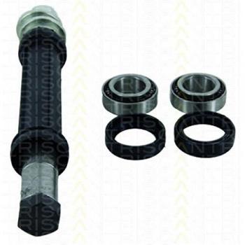 Suspensão & Reparação TRISCAN 8500 38400 – Conjunto Rodas