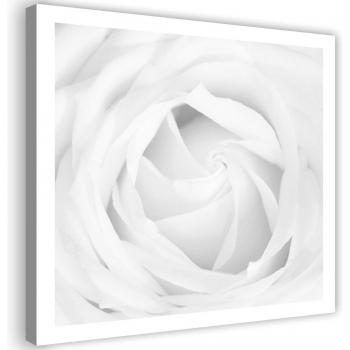 Black and White White Rose Canvas 30x30