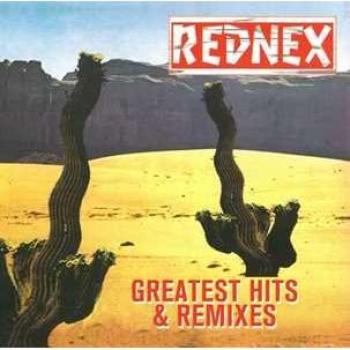 Anthologie des Succès & Remixes