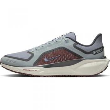 Nike Pegasus 41 GORE-TEX Imperméables