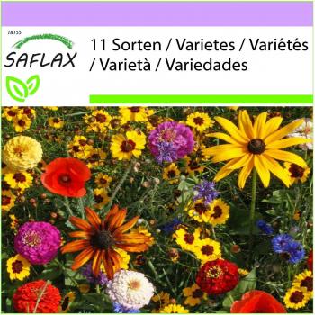 Jardin Merveilleux – 11 Variétés Sauvages