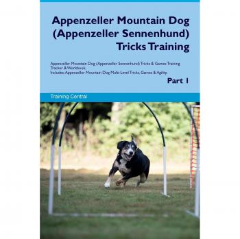 Appenzeller Mountain Dog