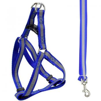 Small Medium Dog Reflective Harness and Leash Set