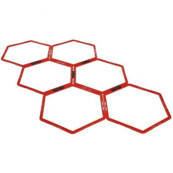 Hexagonal Fitness Ladder