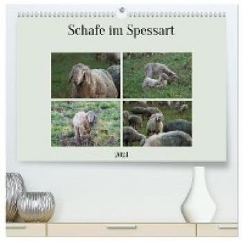 Premium Wandkalender Schafe im Spessart 2024