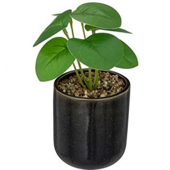 Pianta Artificiale 16 cm in Ceramica Nera Atmosphera