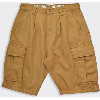 Alpha Industries Aircraft Shorts Khaki male 32