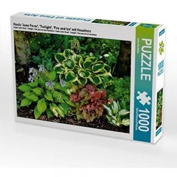 CALVENDO Puzzle Hosta 'June Fever', 'Twilight', 'Fire and Ice' mit Heuchera 1000 Teile Foto-Puzzle