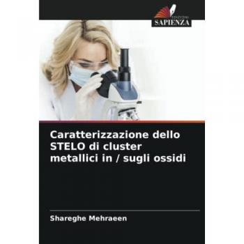 Mehraeen, Shareghe: Caratterizzazione dello STELO di cluster metallici in / sugli ossidi