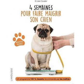 4 semaines pour faire maigrir son chien