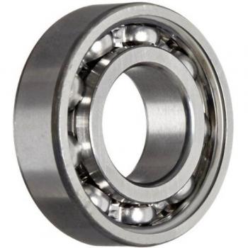 6004 Lager SKF